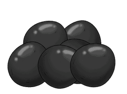 Foxnut Seed Pile